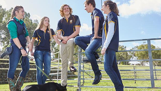 Group of young students chatting around a paddock fence with a dog.