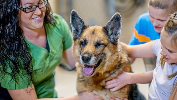 Jobs and Skills WA: Animal care courses