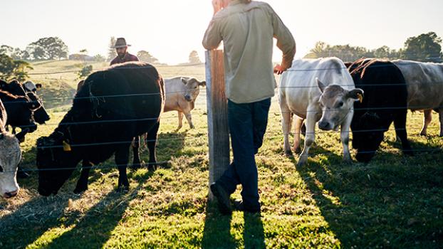 Jobs and Skills WA: Agriculture, animals courses