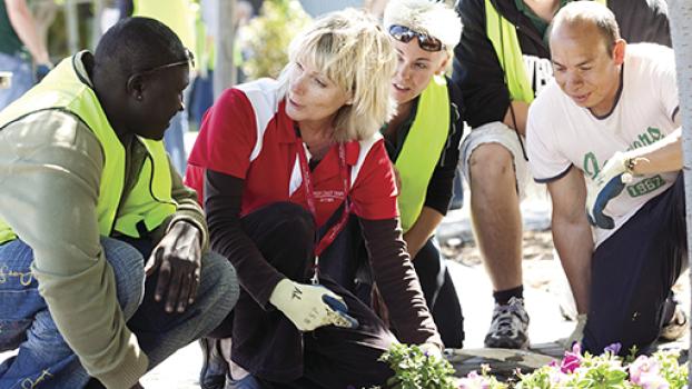 Team of nursery staff tending to seedlings.