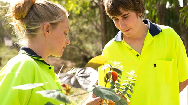 Jobs and Skills WA: Horticulture courses