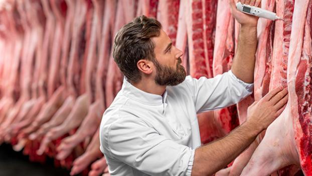 Man inspecting pork cuts using thermometer