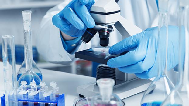 Scientist hands with gloves using a microscope.