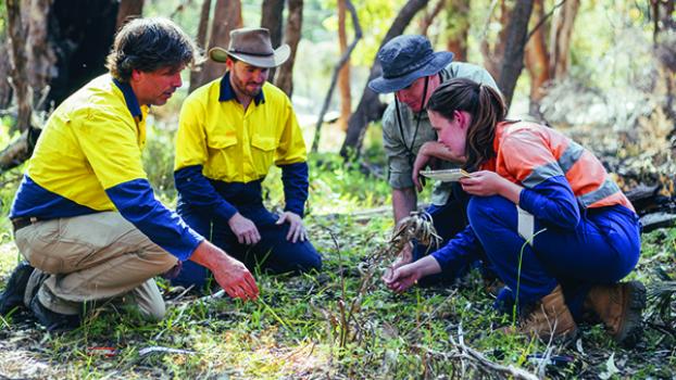 Jobs and Skills WA: Conservation and land management courses