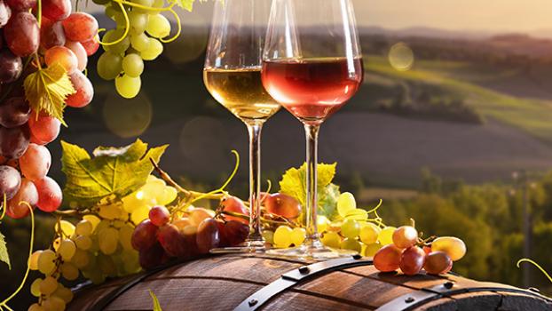 Jobs and Skills WA: Viticulture courses