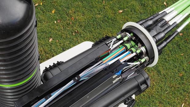 Jobs & Skills WA: Get the skills you need for the job you want, with fee-free and reduced-fee courses: 