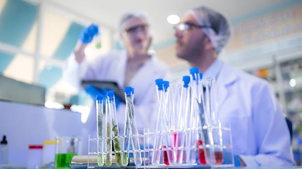 Biotechnologists at work in a laboratory.