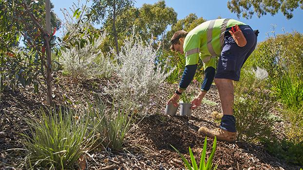 Jobs & Skills WA: Get the skills you need for the job you want, with fee-free and reduced-fee courses: 