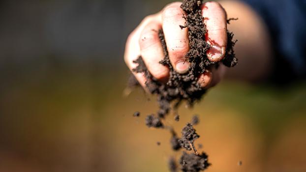 Jobs & Skills WA: Free and reduced-fee courses.