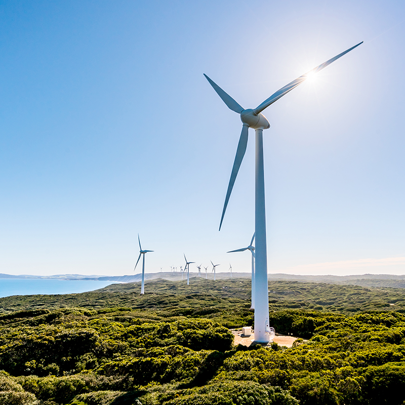 Wind turbines standing on a green, coastal landscape under a clear blue sky, with sunlight shining behind one of the turbines.